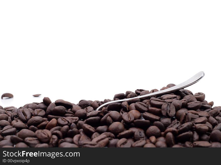 Cofee seed in a cup isolated on a white background