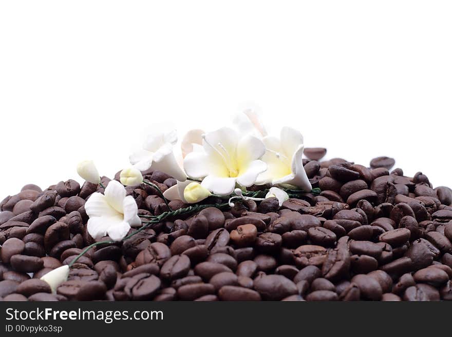 Cofee seed in a cup isolated on a white background