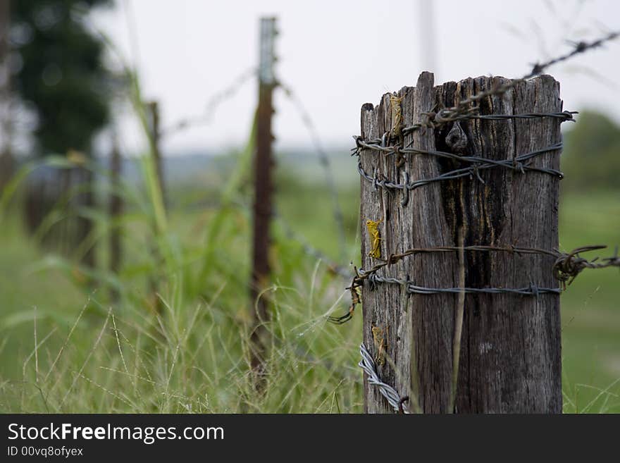 Wooden post wrapped with barbed wire. Wooden post wrapped with barbed wire