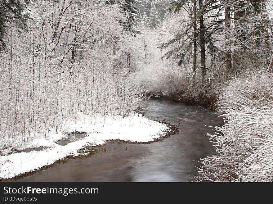 Snowy Creek