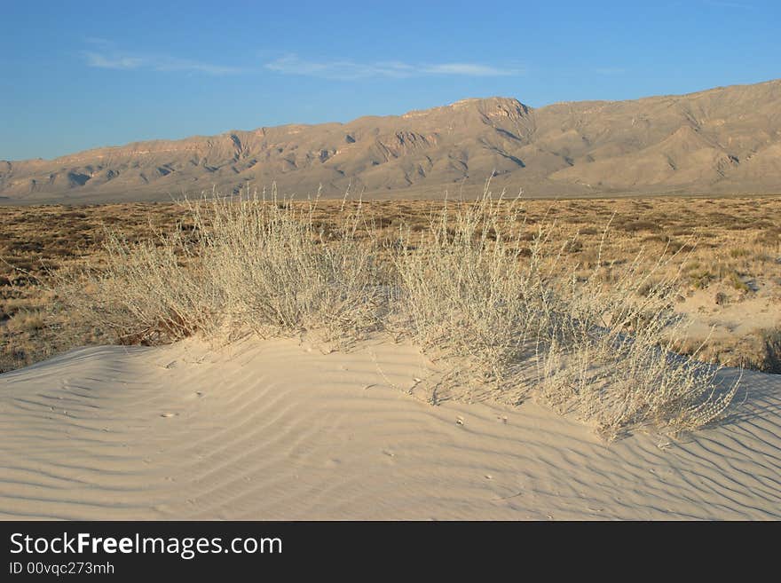 Gypsum sand dunes of Guadalupe Mountains National Park