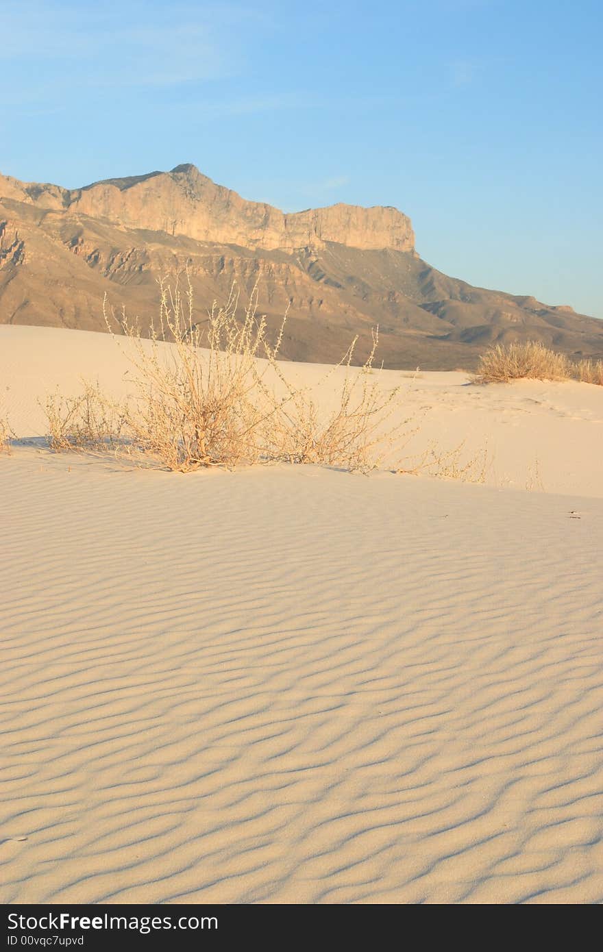 Gypsum Sand Dunes