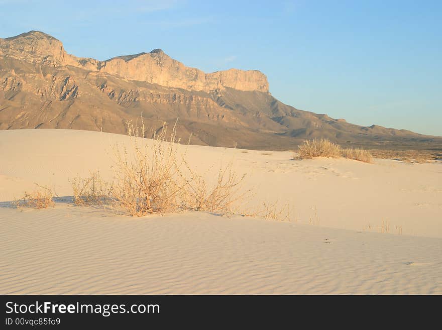 Gypsum Sand Dunes