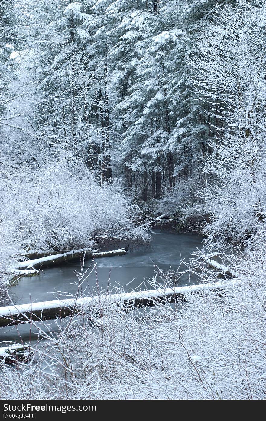 Snowy Creek