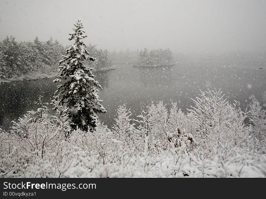 A very wintery scene afetr a fresh snowfall. A very wintery scene afetr a fresh snowfall