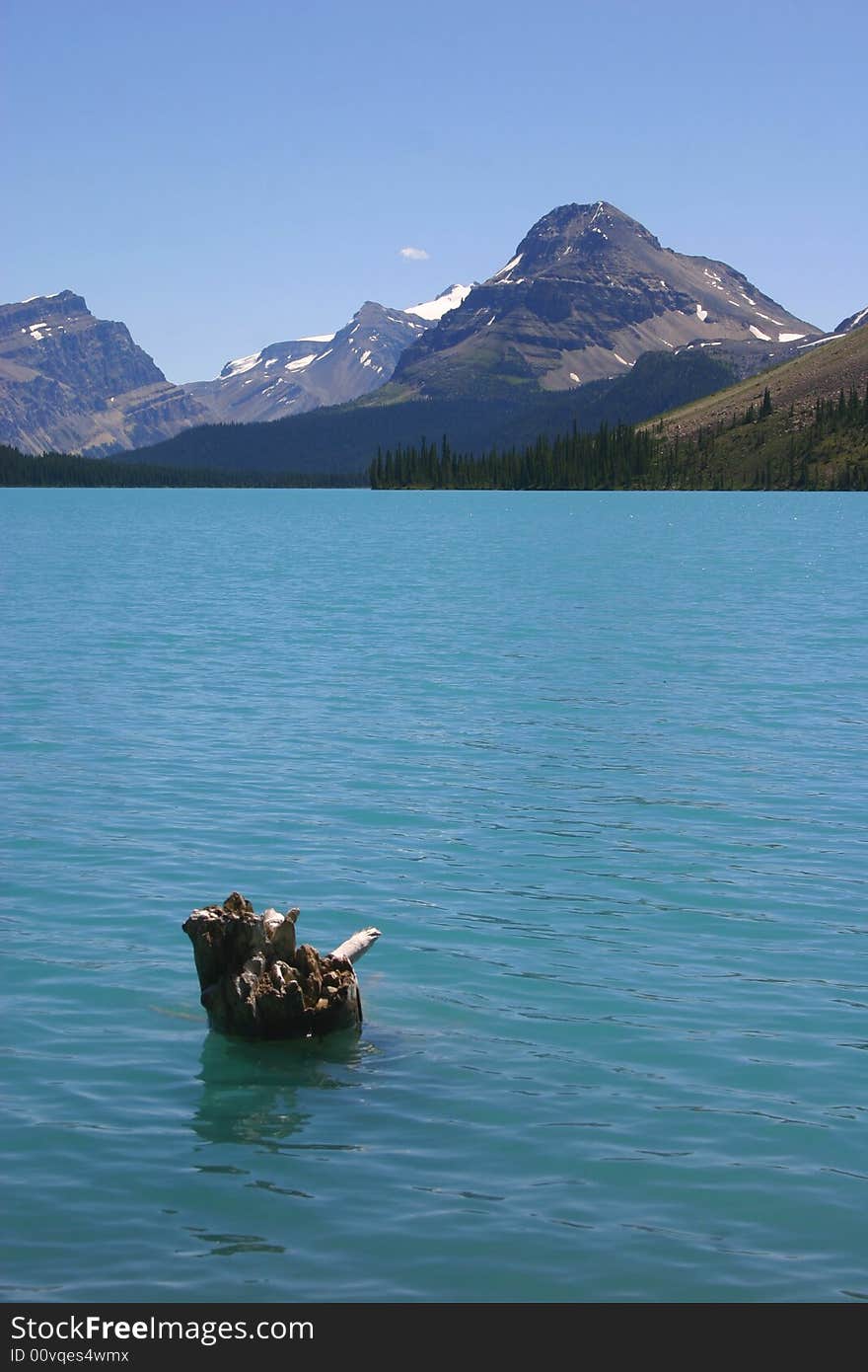 An old tree stump breaking through the water near the shore of an amazing crystal blue lake in the Canadian Rockies. An old tree stump breaking through the water near the shore of an amazing crystal blue lake in the Canadian Rockies