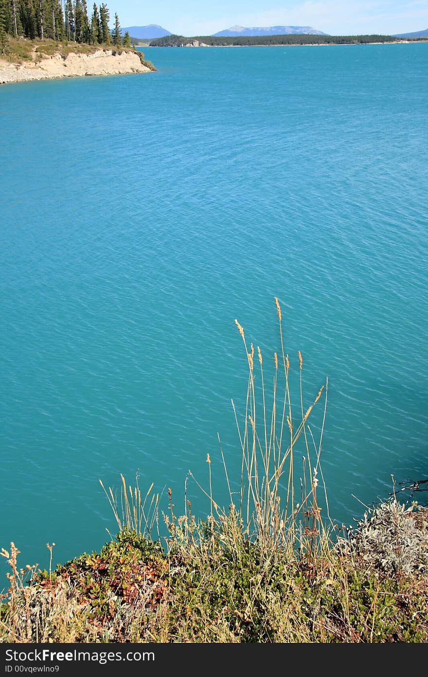 An old tree stump breaking through the water near the shore of an amazing crystal blue lake in the Canadian Rockies. An old tree stump breaking through the water near the shore of an amazing crystal blue lake in the Canadian Rockies