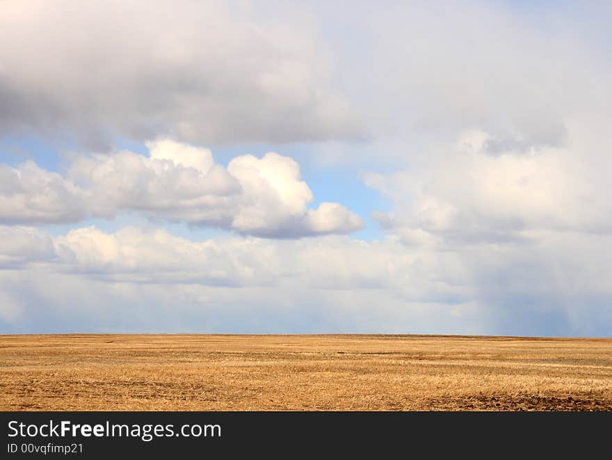 Storm clouds rolling over a vast ripening crop on the prairies. Storm clouds rolling over a vast ripening crop on the prairies