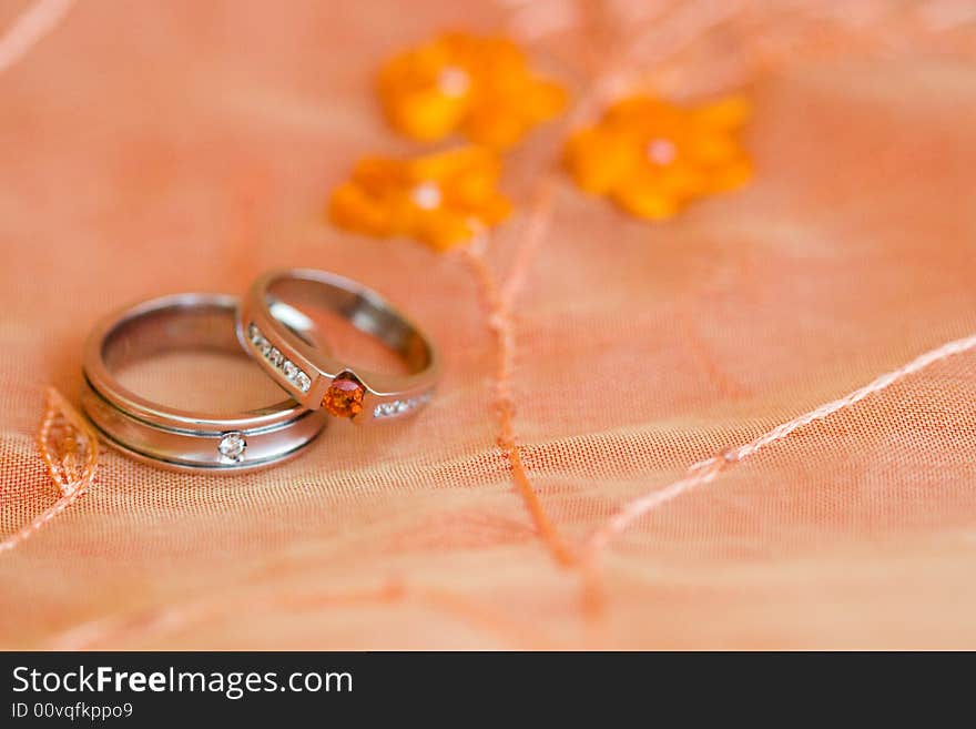 Wedding Rings in Roses