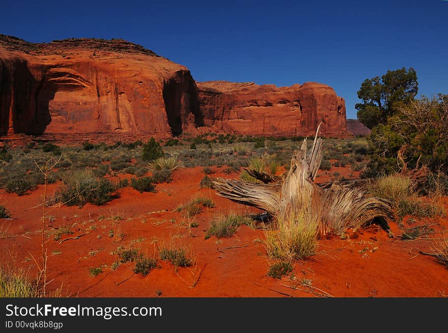 A beautiful background Image of Monument valley in Spring