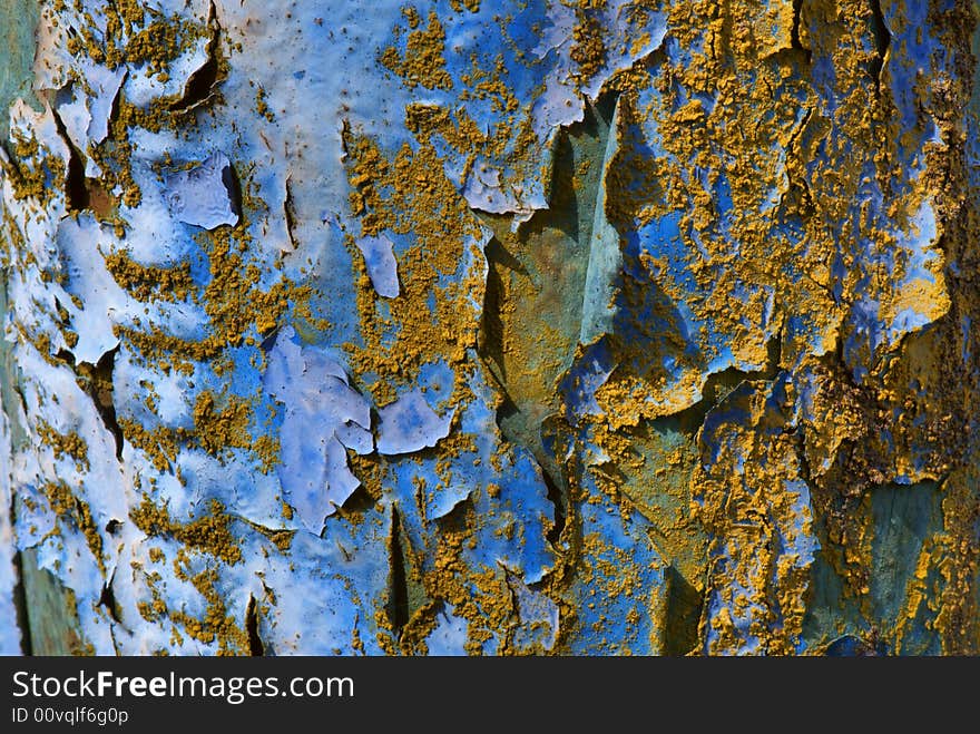 Wall with the peeled off plaster and sprinkled by seeds of a tree. Wall with the peeled off plaster and sprinkled by seeds of a tree.