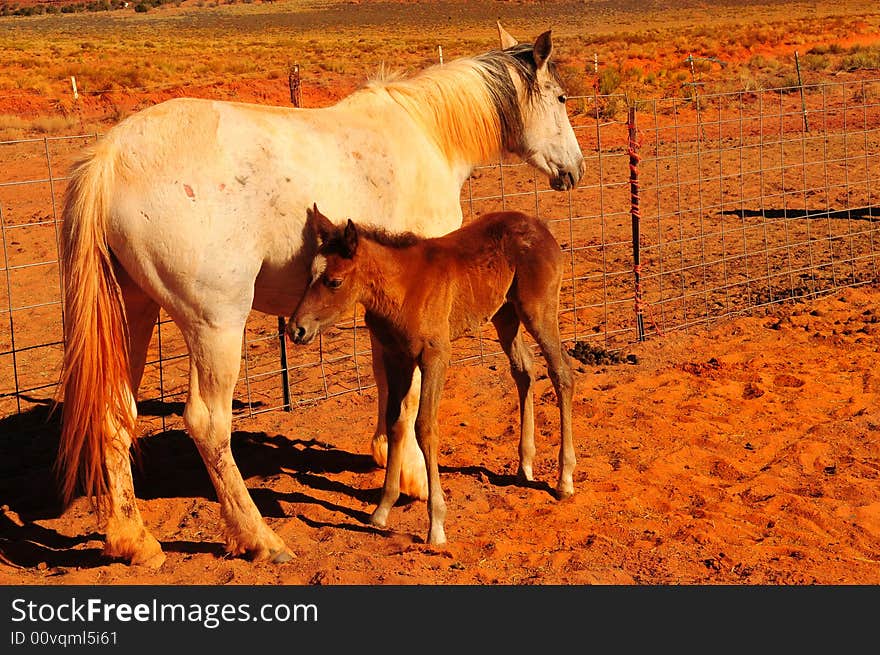 Mother and child