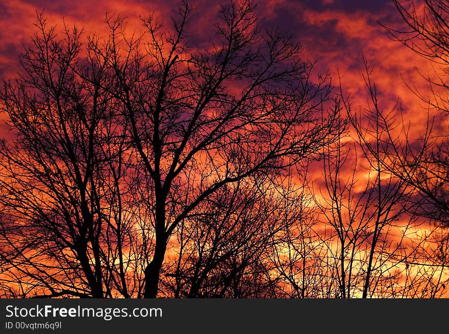 The morning comes alive with the sky seemingly on fire providing almost an abstract pattern. The morning comes alive with the sky seemingly on fire providing almost an abstract pattern