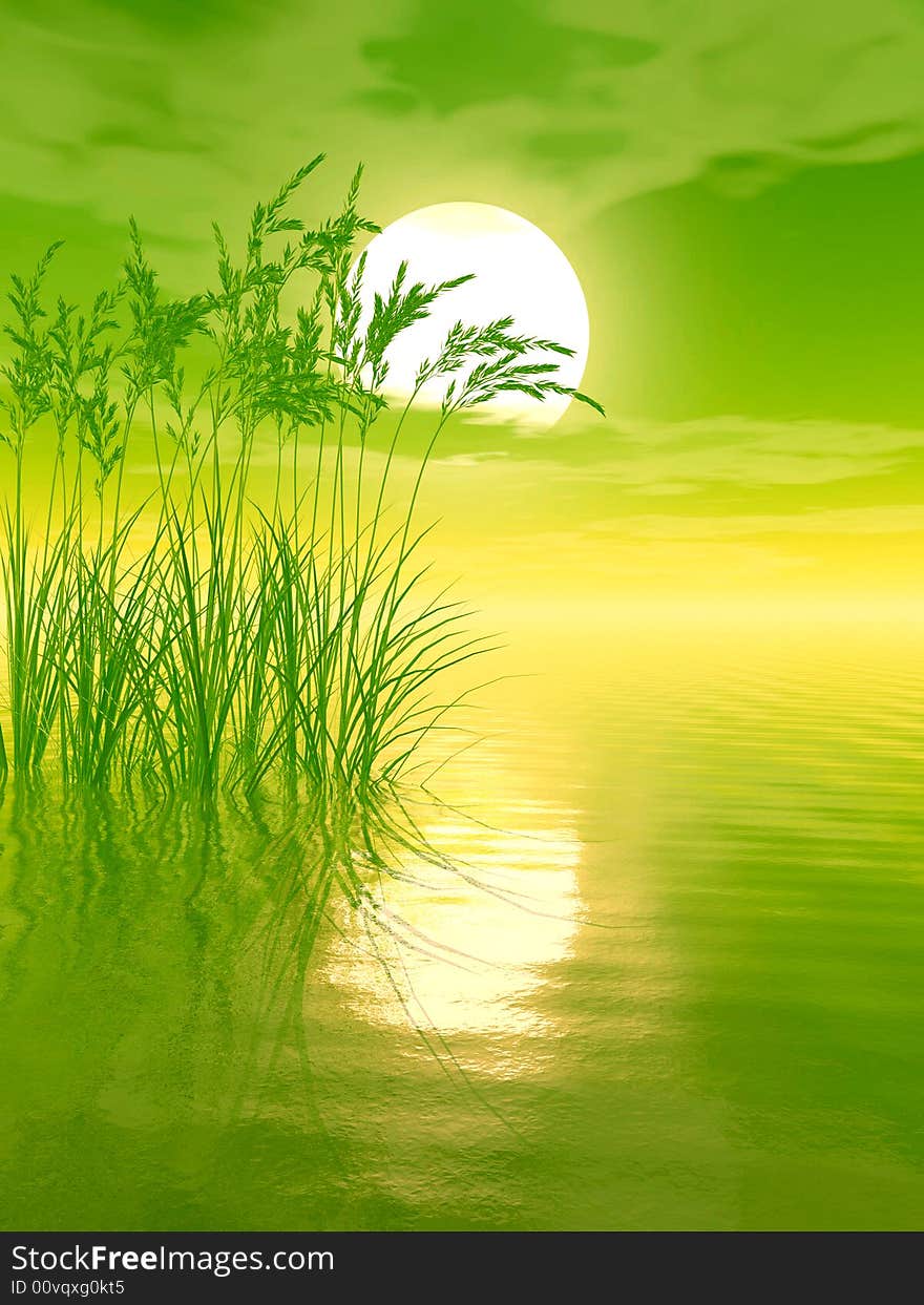 Water plants on a sea sunset  background  -  3D scene. Water plants on a sea sunset  background  -  3D scene.