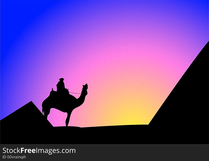 Person On A Camel