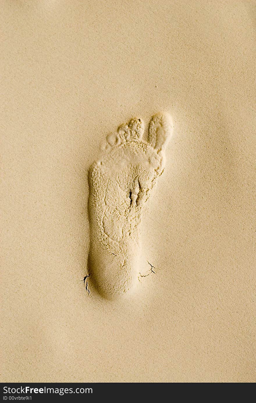 Footprint 1