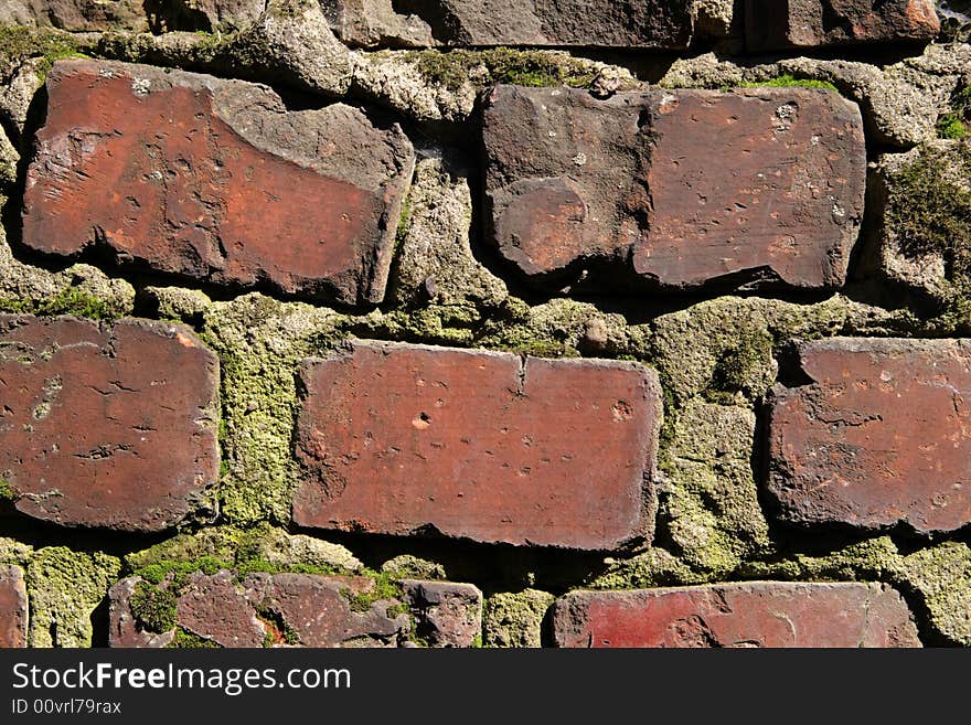 Old brick wall with  lichen. Old brick wall with  lichen