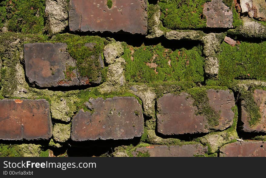 Old brick wall with lichen. Old brick wall with lichen