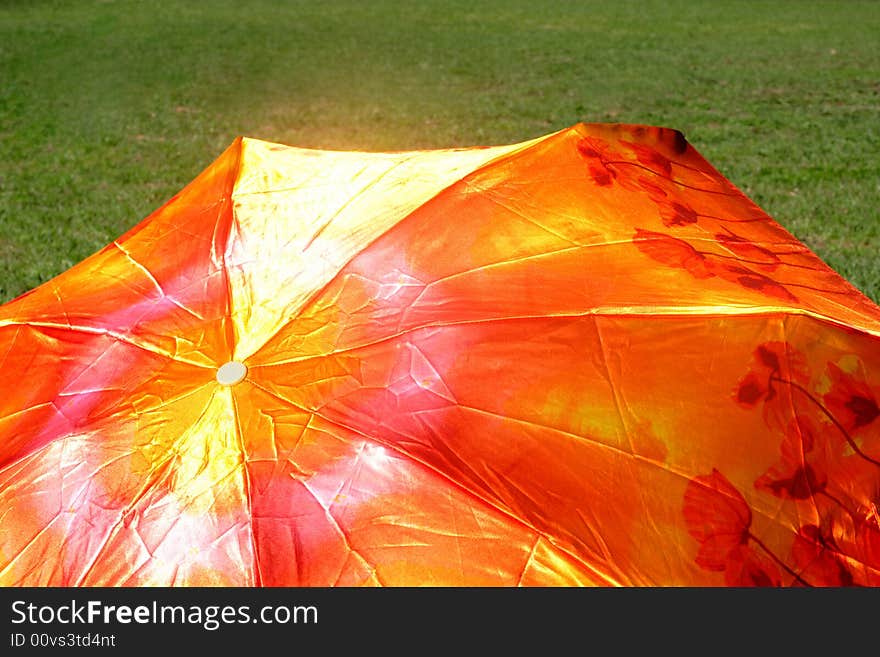 Fragment of sun umbrella on the grass