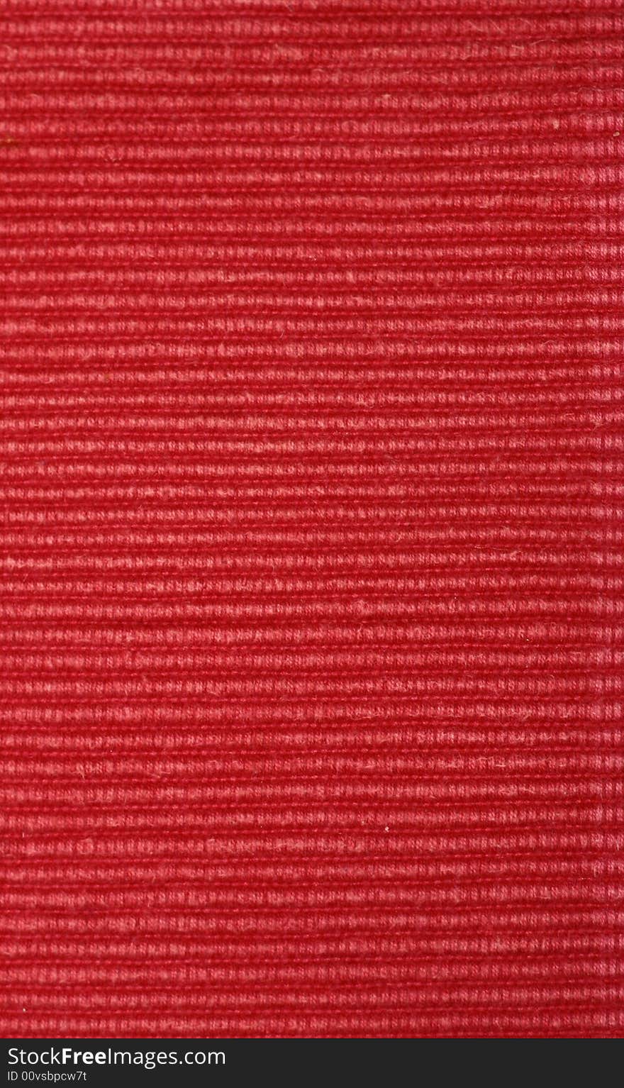 Segment of the corduroy material. Segment of the corduroy material