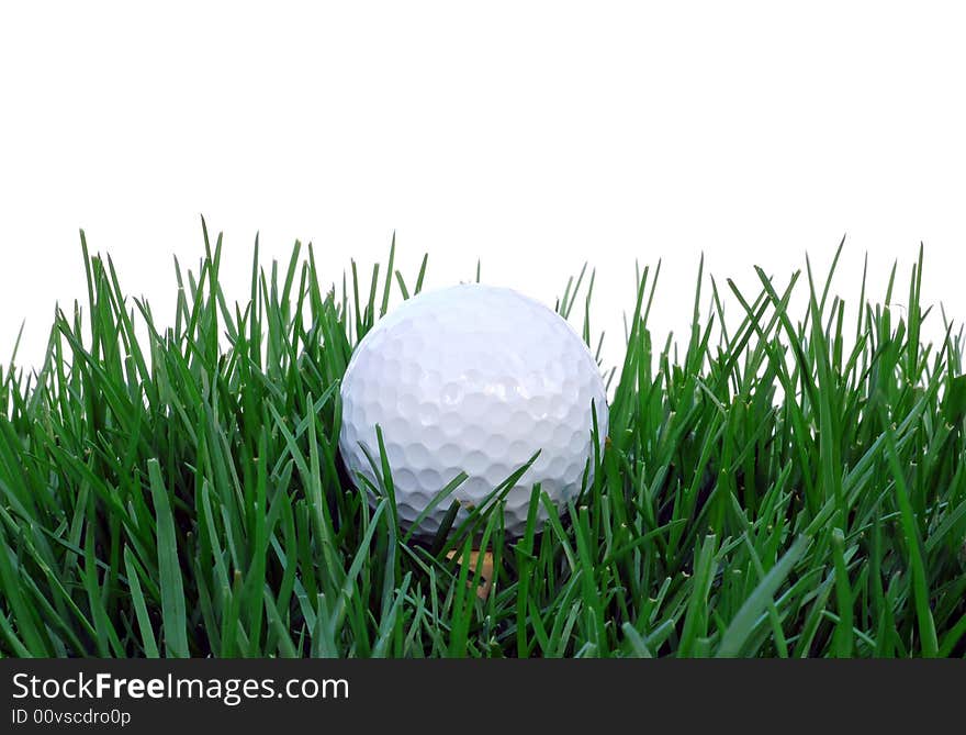 Golf ball setting in the tall grass. Golf ball setting in the tall grass