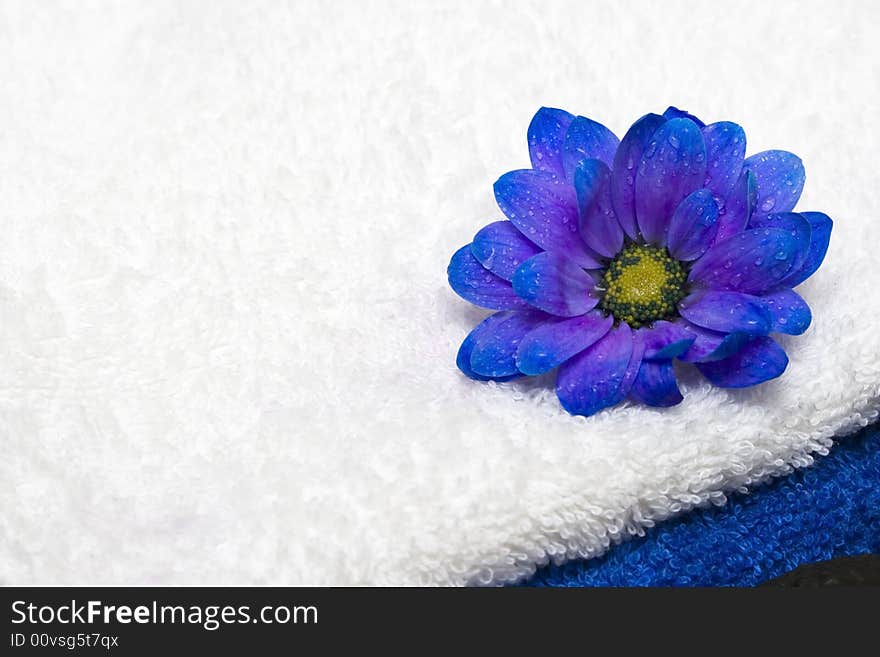 Spa essentials, towels and flower