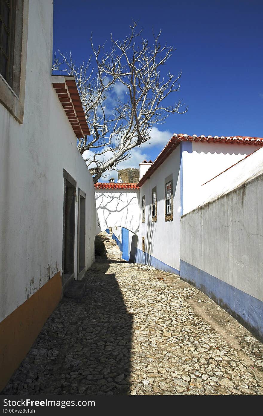 Portugal Obidos; typical street