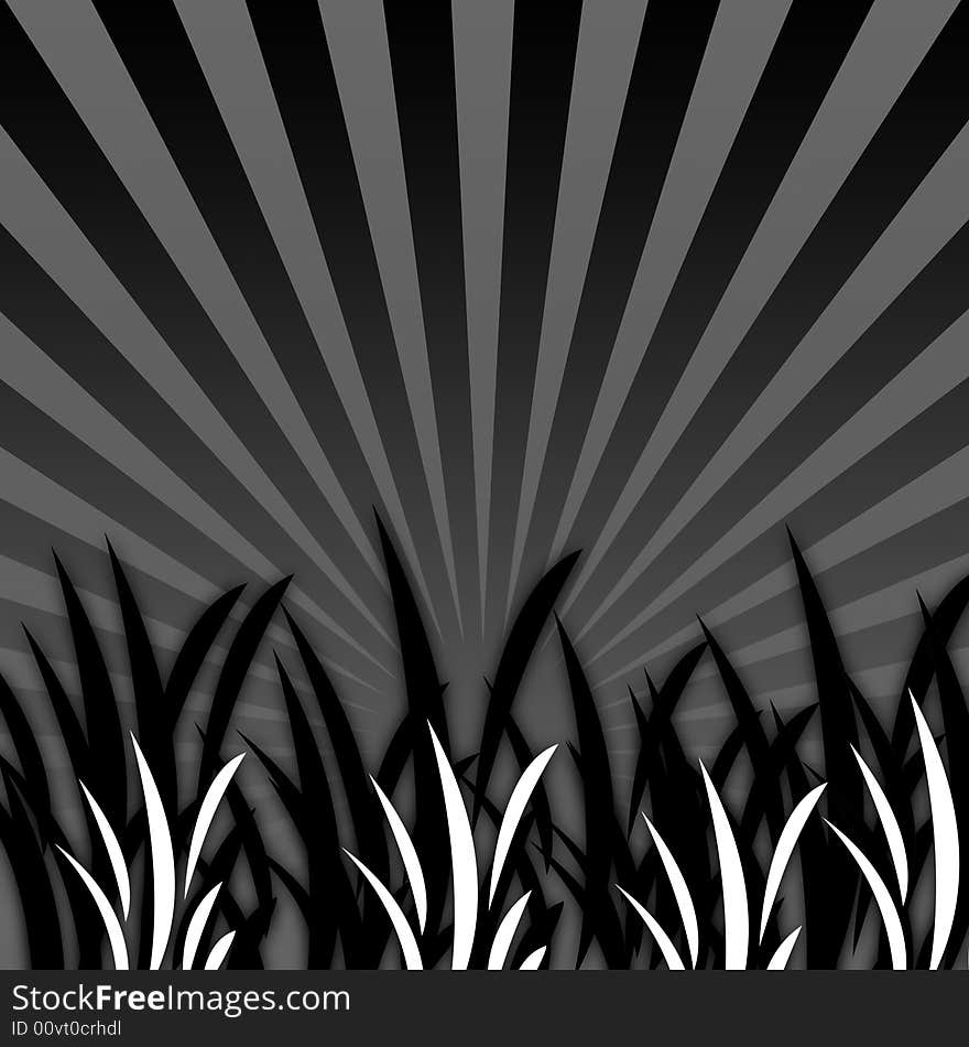 An Elegance Black&White Grass Illustration on a Dark SunBurst Background. An Elegance Black&White Grass Illustration on a Dark SunBurst Background