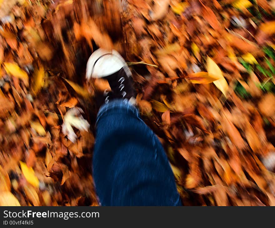 Autumn walk