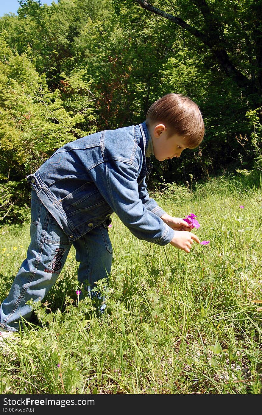 Boy Collecting Pink Flowerses