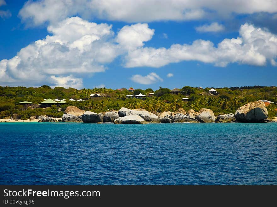 Palm trees, Tropical, Ocean View, Blue skies. Palm trees, Tropical, Ocean View, Blue skies