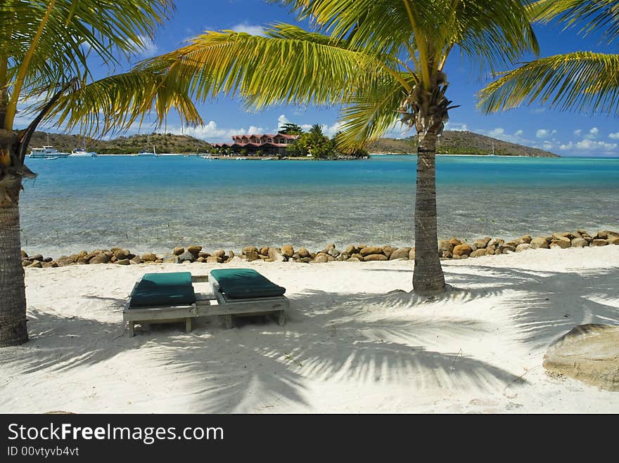 Palm trees, Tropical, Ocean View, Blue skies. Palm trees, Tropical, Ocean View, Blue skies