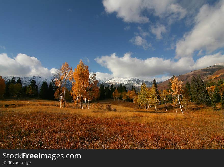 High Mountain Flat in the fall showing all the fall colors with mountains in the background. High Mountain Flat in the fall showing all the fall colors with mountains in the background