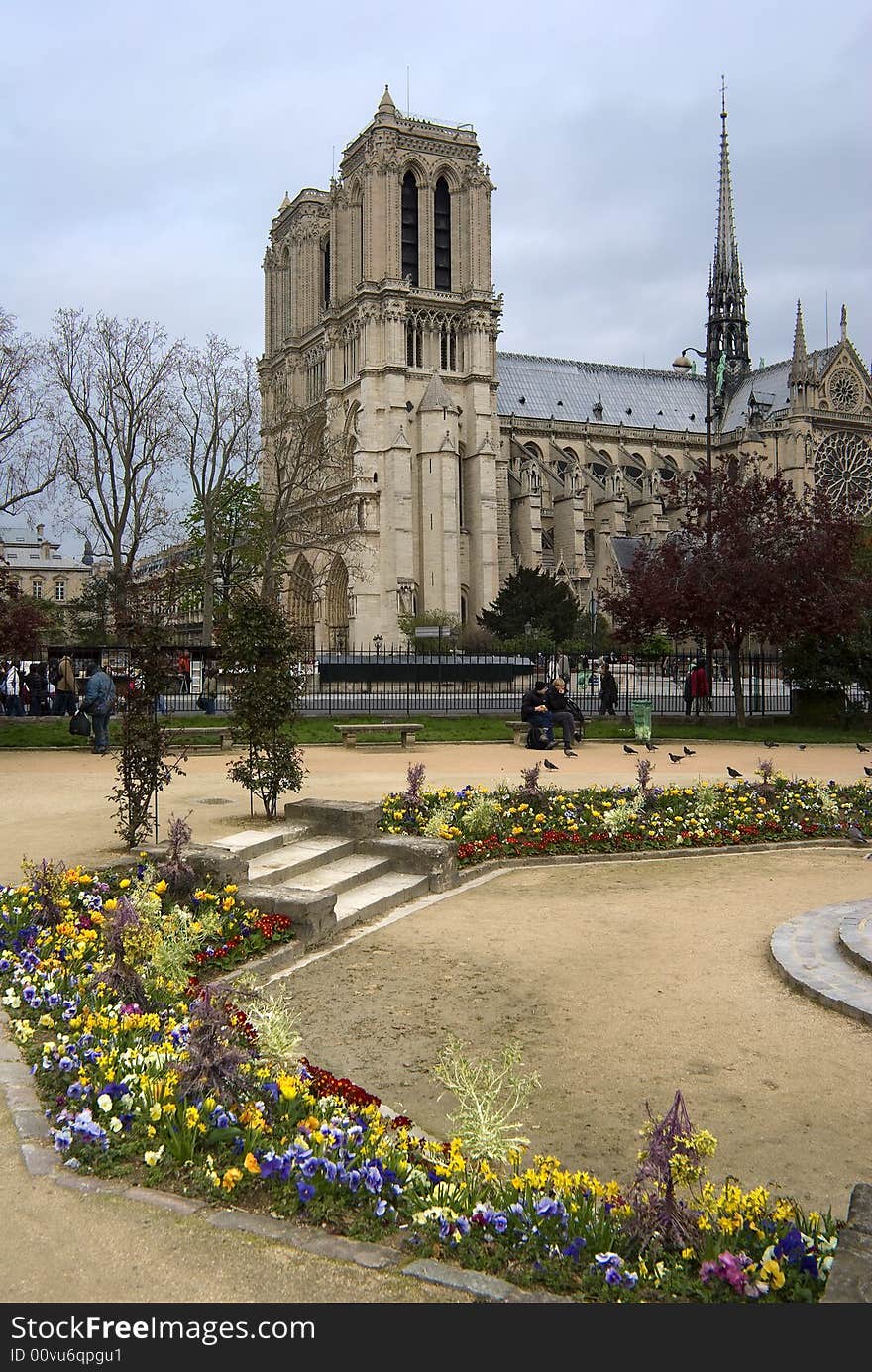 Notre Dame Cathderal with Spring flowers in foreground. Notre Dame Cathderal with Spring flowers in foreground.