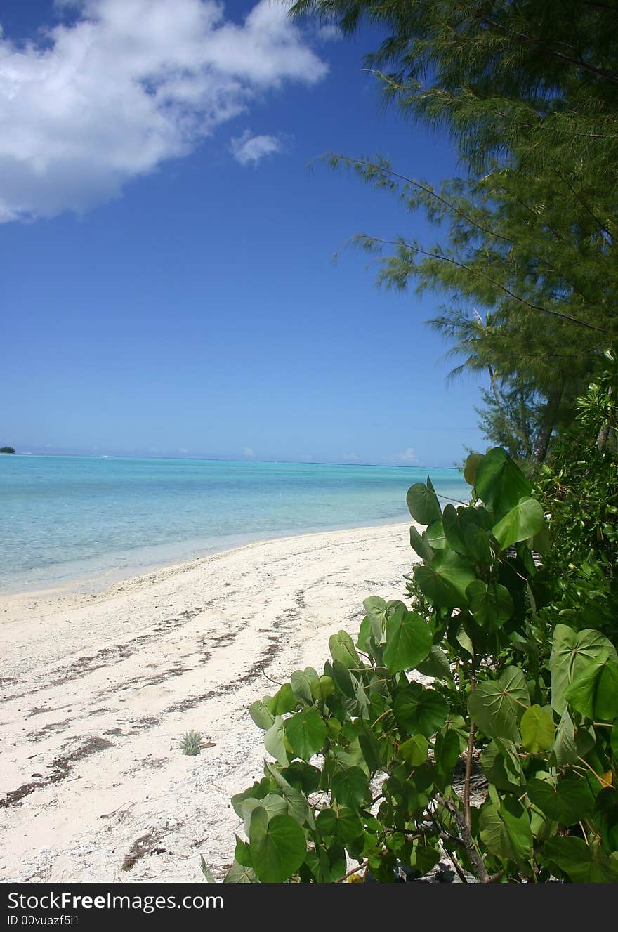 Beach On Moorea Island