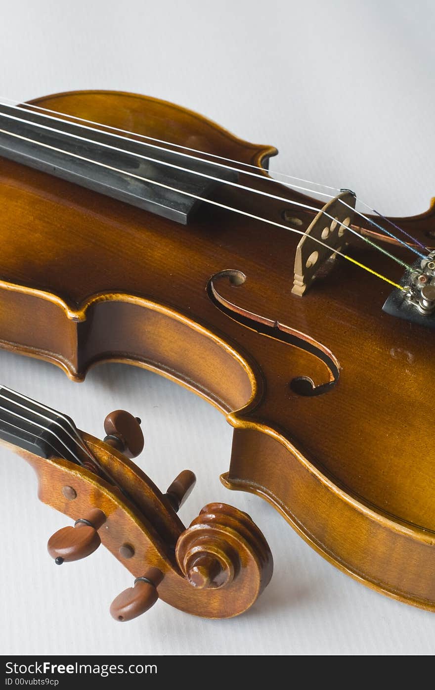 Violin on white background