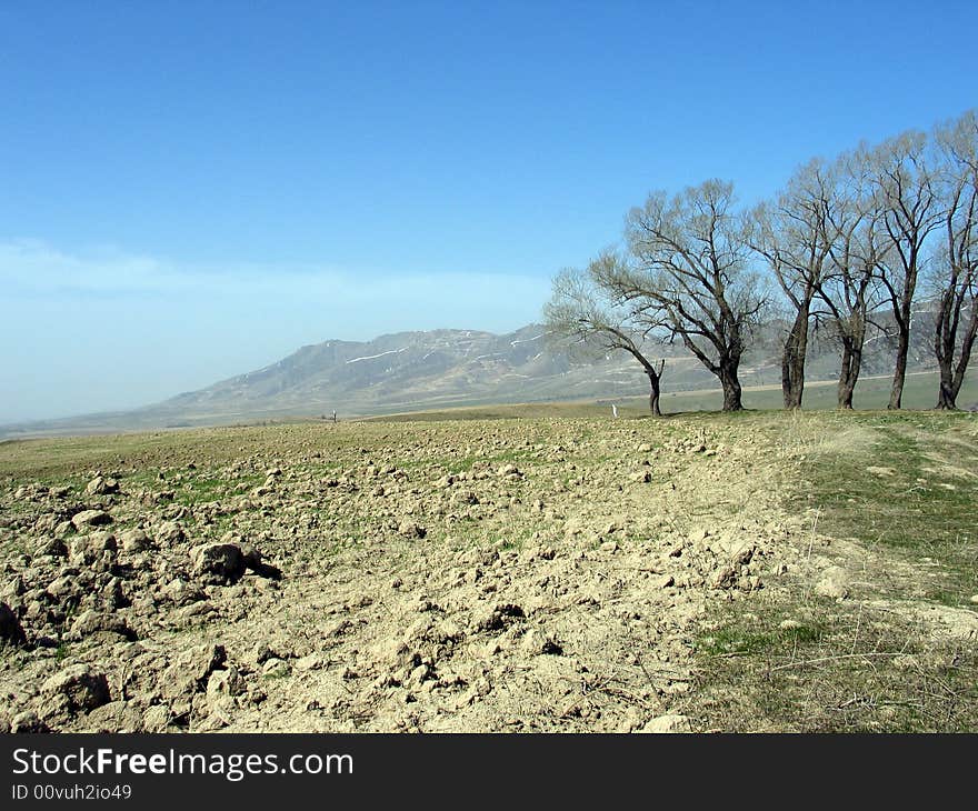 Trees near field in mounains. Uzbekistan, March 2008