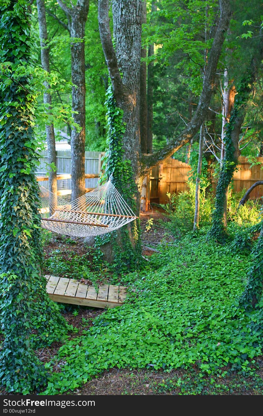 A tranquil hammock under a green canopy