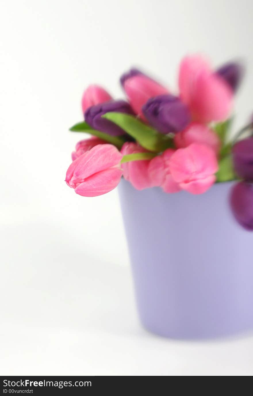 A vase full of purple and pink tulips. A vase full of purple and pink tulips