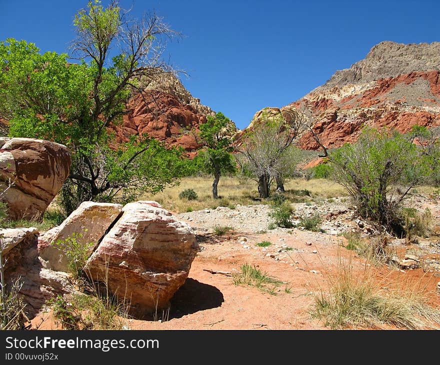 Creek at Red Rock Canyon