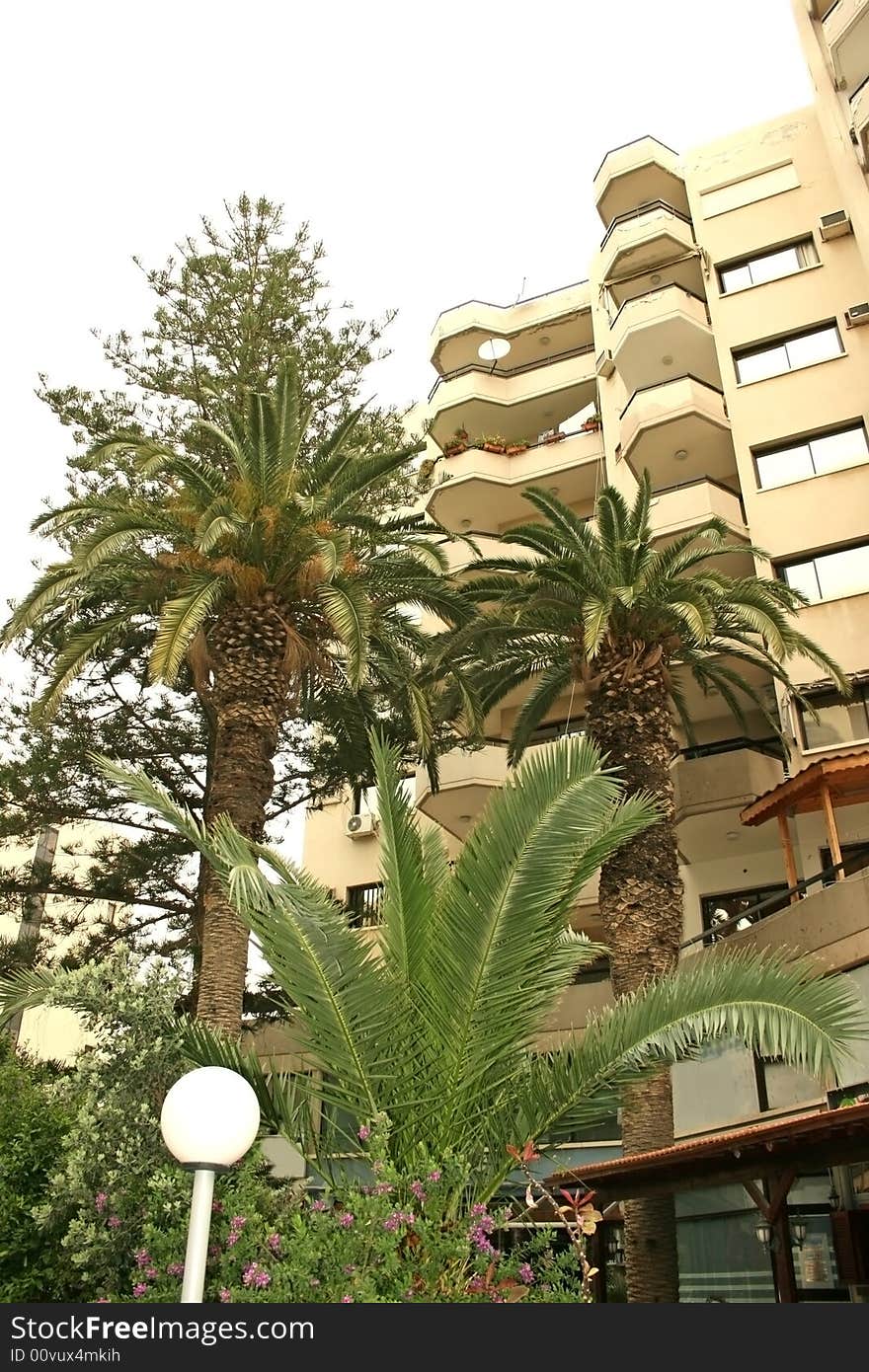 Palms and lamp  at the building.