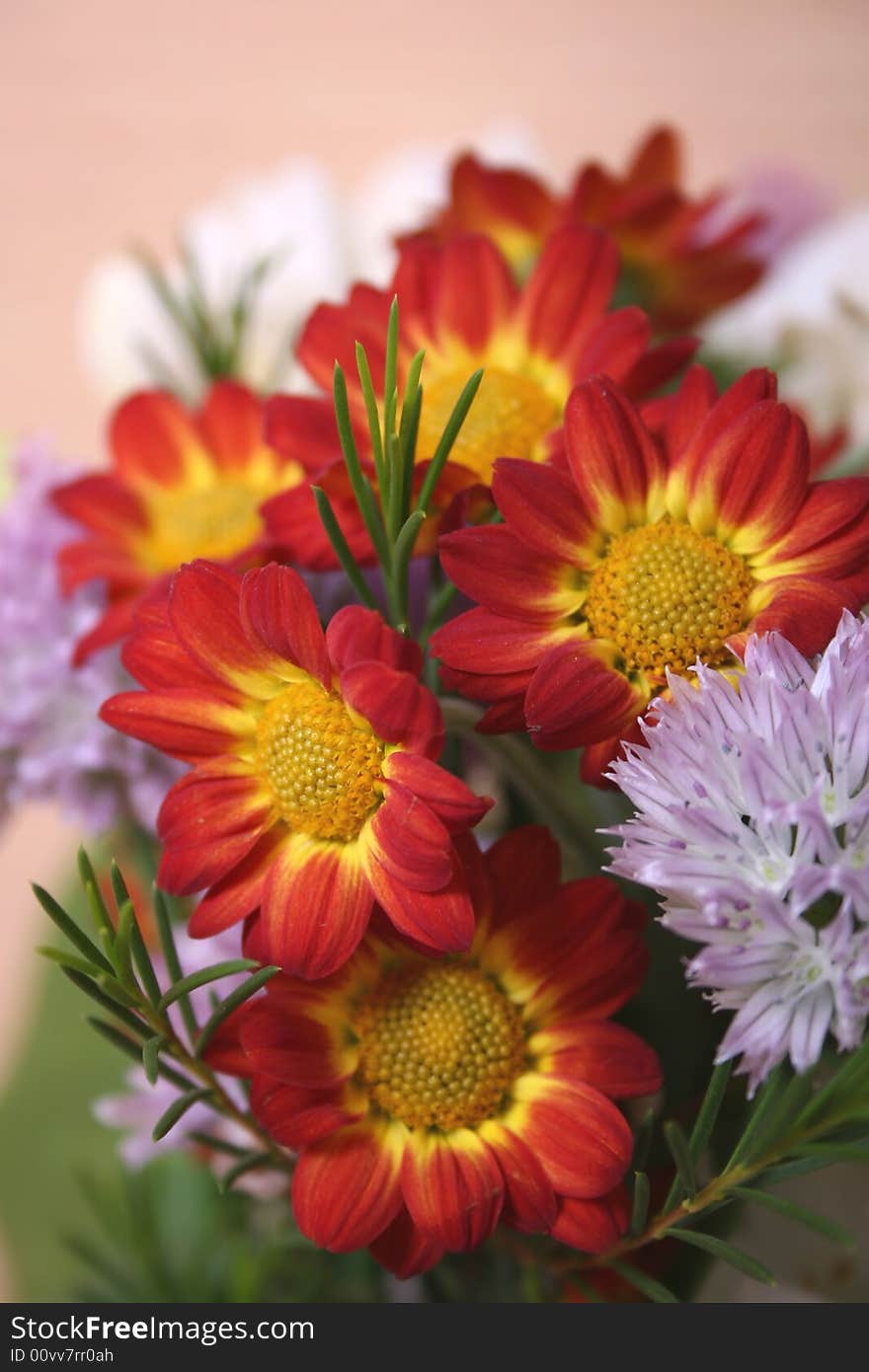 Flowers bouquet close-up, detailed