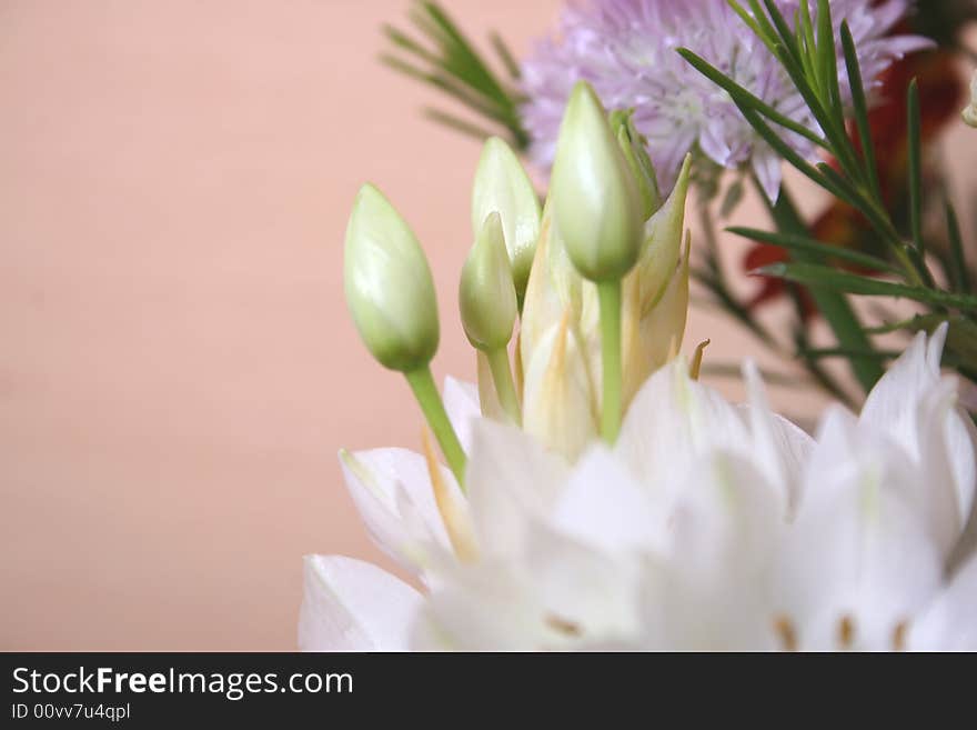 Flowers bouquet