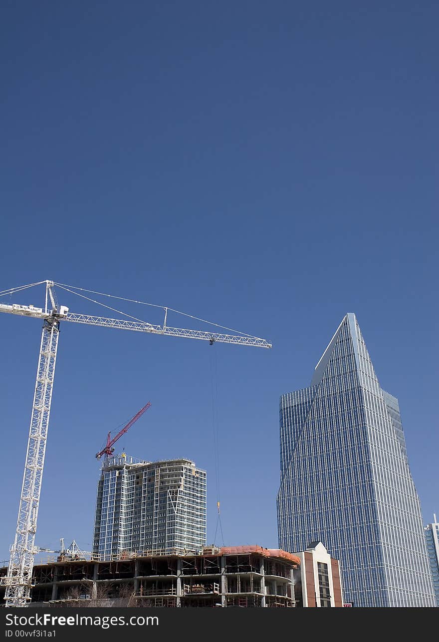 White Crane Over Rising Towr