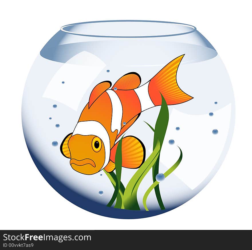 Exotic fish in aquarium, vector illustration,  AI file included. Exotic fish in aquarium, vector illustration,  AI file included