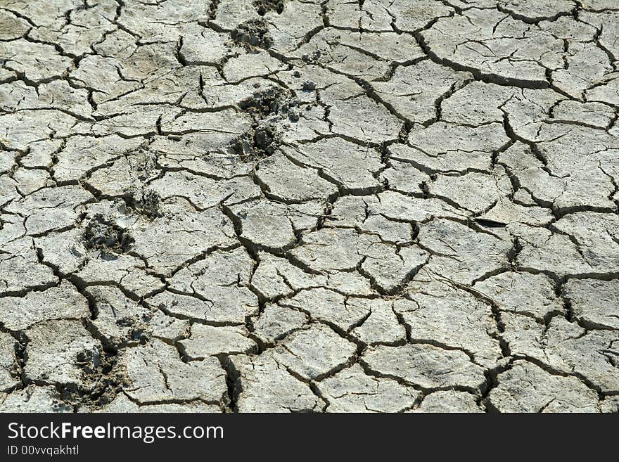 Close up traces on dry cracked land