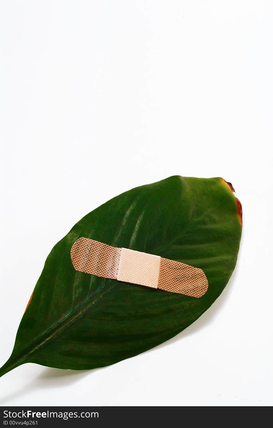 A band aid on a green leaf on white background. A band aid on a green leaf on white background.