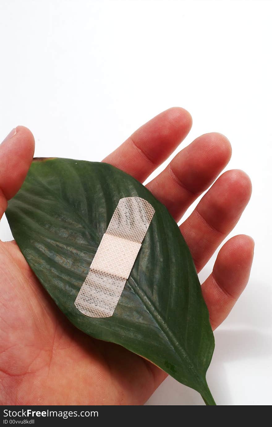 A band aid on a green leaf on white background. A band aid on a green leaf on white background.