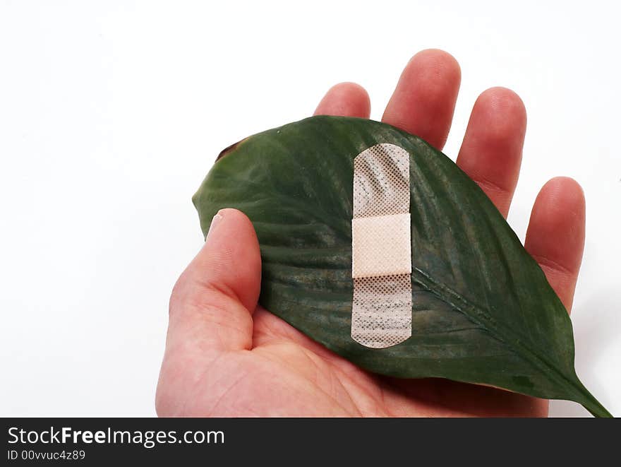 A band aid on a green leaf on white background. A band aid on a green leaf on white background.