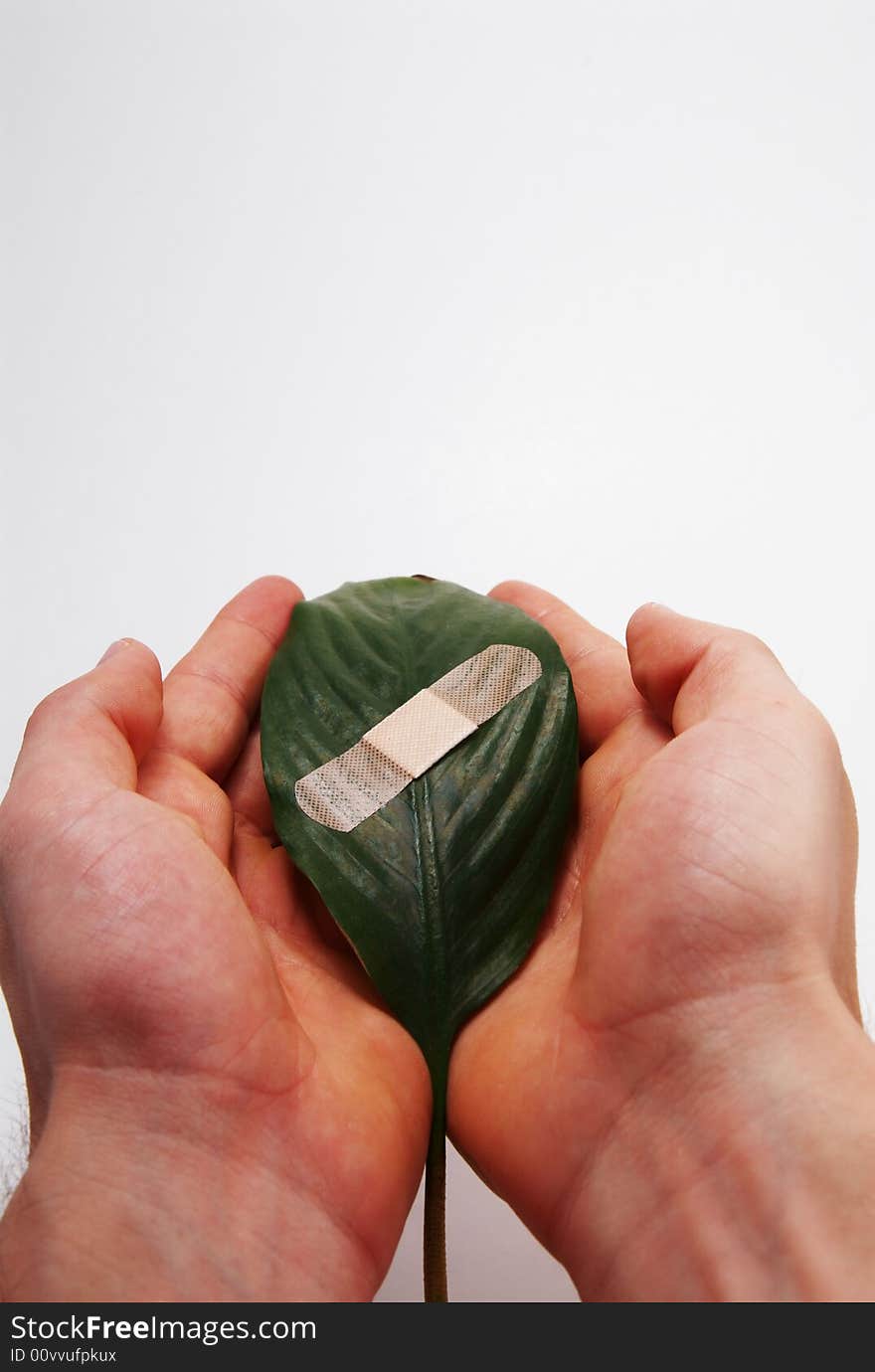 A band aid on a green leaf on white background. A band aid on a green leaf on white background.